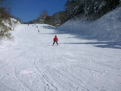 ワンダーランドかたしなレビューキャンペーン|のクチコミ画像