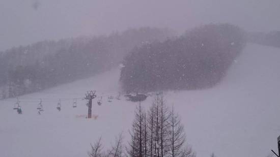 雪の戸隠|戸隠スキー場のクチコミ画像