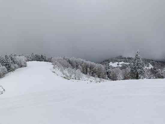 湿雪