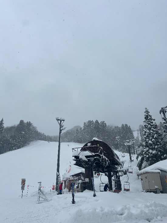 名前かわいい|ぶどうスノーリゾート(旧 村上市ぶどうスキー場)のクチコミ画像