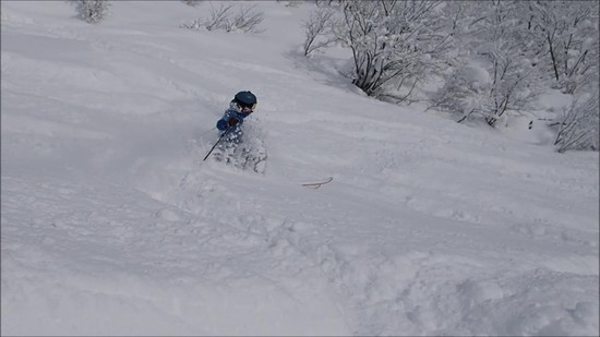雪まみれ|関温泉スキー場のクチコミ画像2