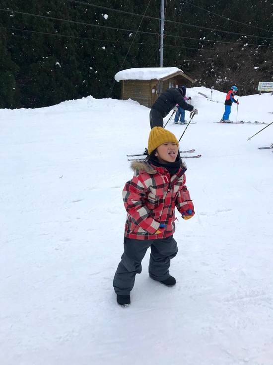 雪が降ってきたー|氷ノ山国際スキー場のクチコミ画像