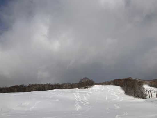 雪質良くコースに富んだゲレンデ