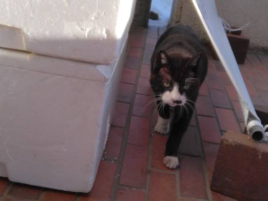 ワンダーランドかたしなレビューキャンペーン|ホワイトワールド尾瀬岩鞍のクチコミ画像