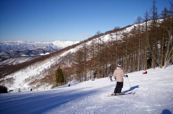 ワンダーランドかたしなレビューキャンペーン