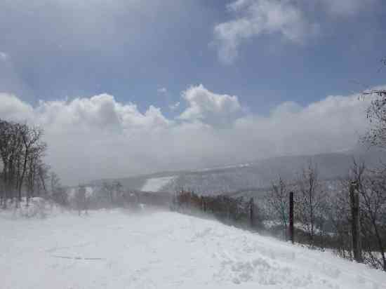 お天気雨ならぬお天気雪？|ホワイトワールド尾瀬岩鞍のクチコミ画像2