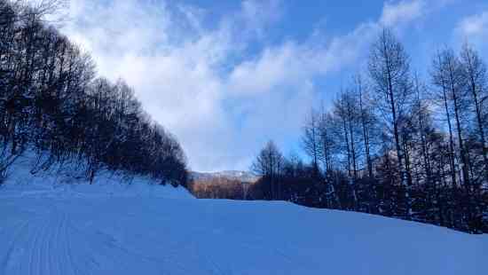 ワンダーランドかたしなレビューキャンペーン|オグナほたかスキー場のクチコミ画像