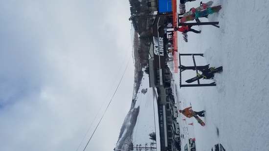 クリスマスイブ|車山高原SKYPARKスキー場のクチコミ画像