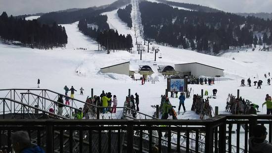 雪質|スキージャム勝山のクチコミ画像