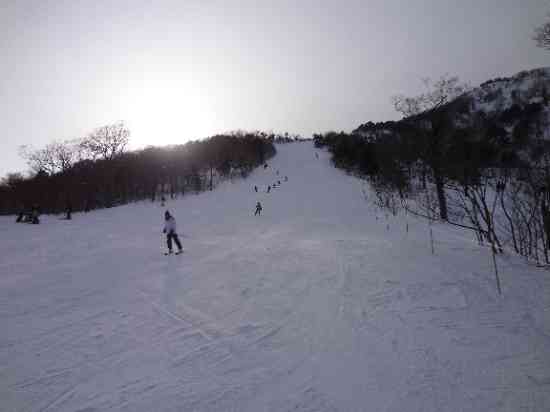 アイスバーンで条件が悪い日でした～ワンダーランドかたしなレビューキャンペーン～|オグナほたかスキー場のクチコミ画像2