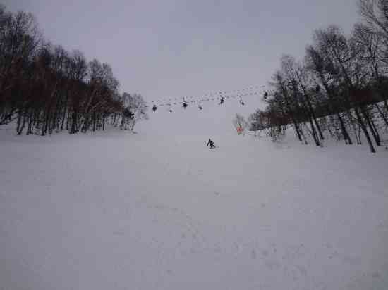 アイスバーンで条件が悪い日でした～ワンダーランドかたしなレビューキャンペーン～|オグナほたかスキー場のクチコミ画像3