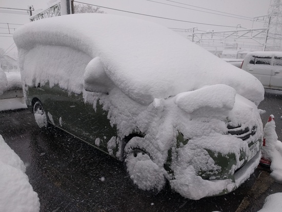 どか～雪～ねぇ（レミオロメン風）|神立スノーリゾートのクチコミ画像