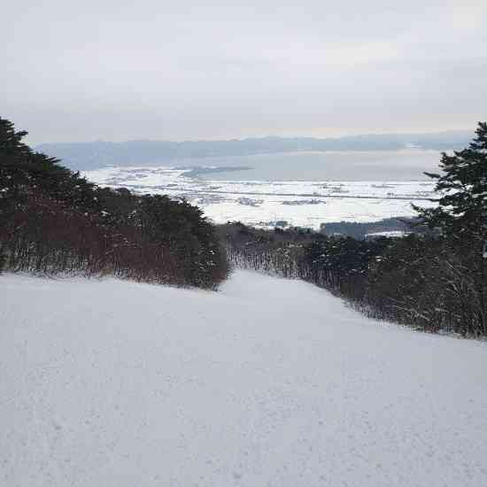 平日リフト券無料