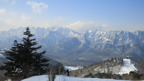 雪質、コースとも最高！|戸隠スキー場のクチコミ画像
