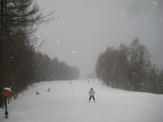 吹雪いて|エーデルワイススキーリゾートのクチコミ画像