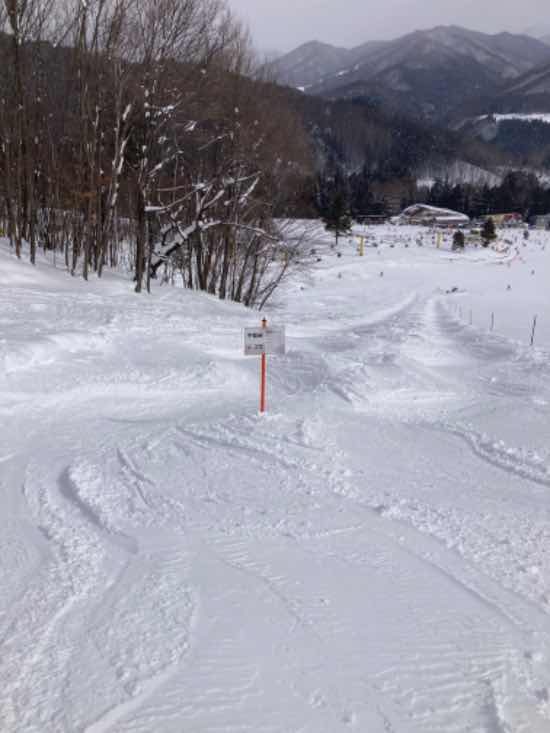 ワンダーランドかたしなレビューキャンペーン