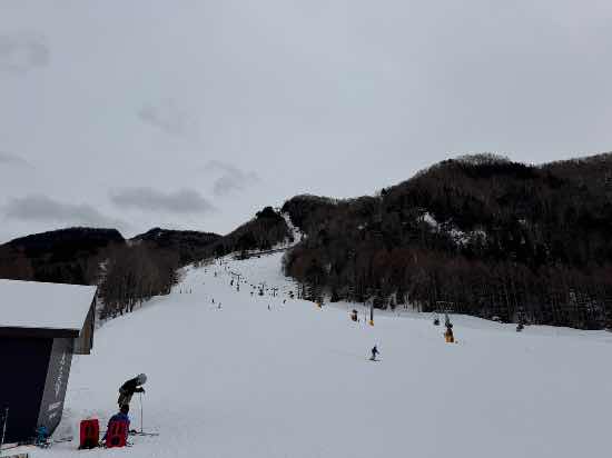 スキーもボードも楽しめる|丸沼高原スキー場のクチコミ画像