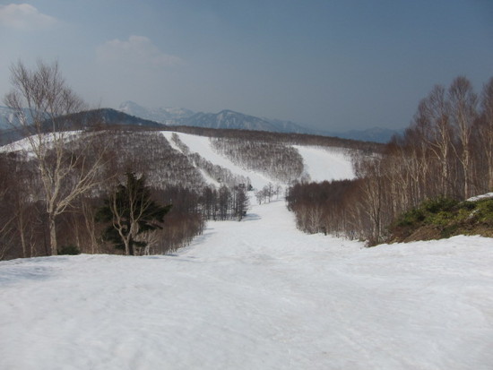 2014/04/26（土）　長野県　焼額山スキー場の速報|志賀高原 焼額山スキー場のクチコミ画像2
