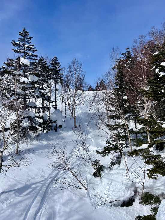広大です|志賀高原リゾート中央エリア（サンバレー～一の瀬）のクチコミ画像2