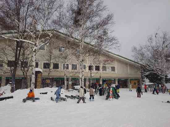 ほぼパウダー|ホワイトワールド尾瀬岩鞍のクチコミ画像