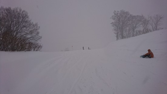 さすがのかぐら すごい新雪|かぐらスキー場のクチコミ画像