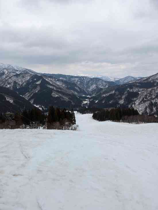 初心者にやさしいスキー場|福井和泉スキー場のクチコミ画像