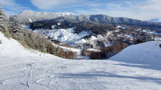 雪質と温泉が最高でした