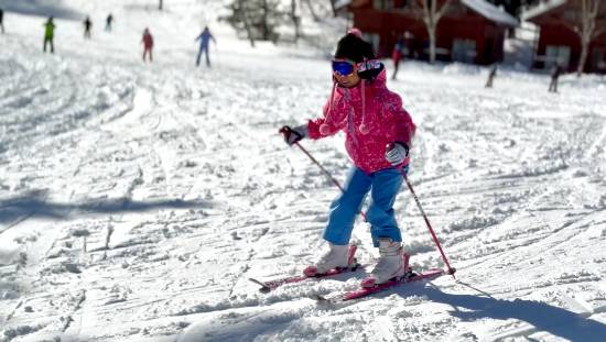 ワンダーランドかたしなレビューキャンペーン|かたしな高原スキー場のクチコミ画像