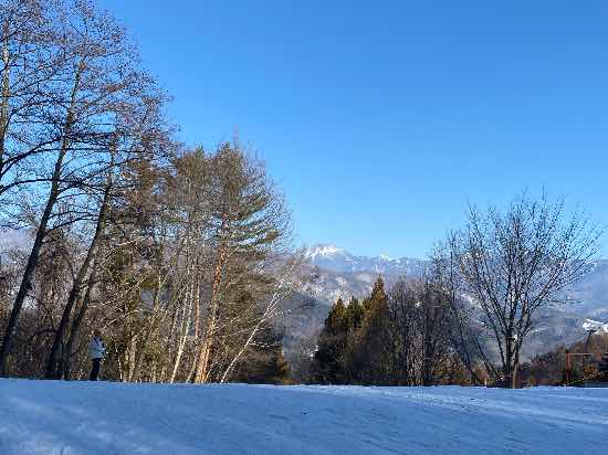ワンダーランドかたしなレビューキャンペーン