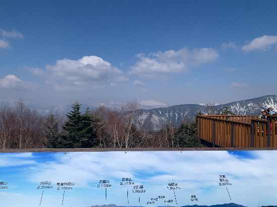 ワンダーランドかたしなレビューキャンペーン」