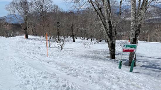春スキー|たんばらスキーパークのクチコミ画像2