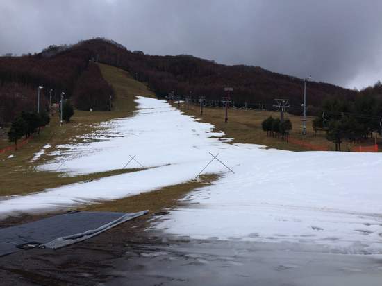 雪よ、降って！！|のクチコミ画像