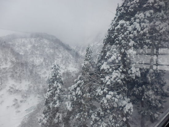 雪質最高！パウダーーーーーー|湯沢高原スキー場のクチコミ画像3