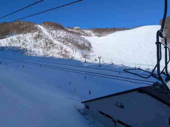 今シーズン初オグナ