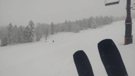 山の神からのプレゼント|志賀高原リゾート中央エリア（サンバレー～一の瀬）のクチコミ画像