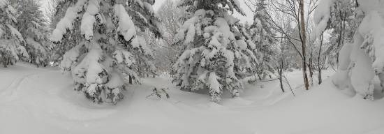 山の神からのプレゼント|志賀高原リゾート中央エリア（サンバレー～一の瀬）のクチコミ画像2