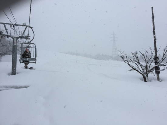 終日雪模様！|となみ夢の平スキー場のクチコミ画像