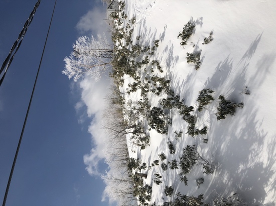 雪上の菜々緒|めいほうスキー場のクチコミ画像2