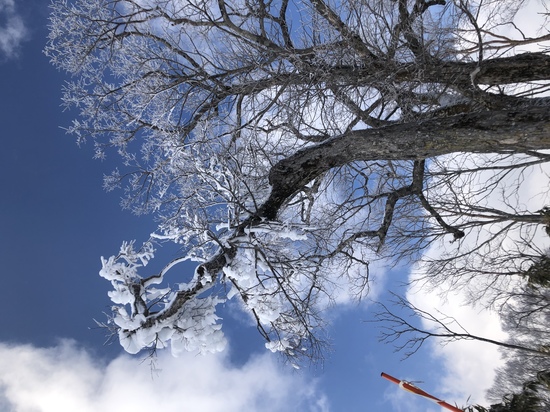 雪上の菜々緒|めいほうスキー場のクチコミ画像3