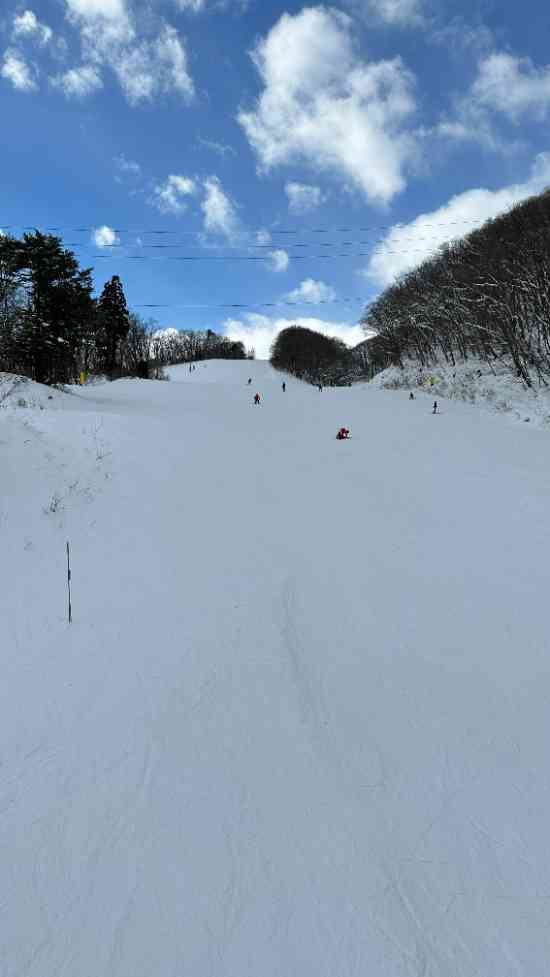 どこのコースも広い|白馬岩岳スノーフィールドのクチコミ画像3
