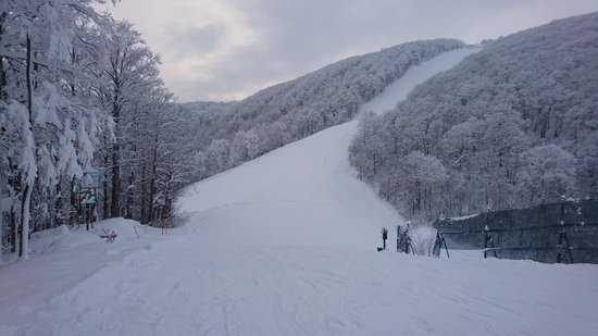 パウダースノー|のクチコミ画像
