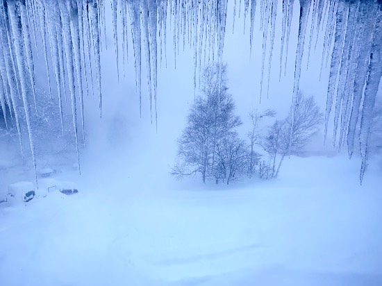 ワンダーランドかたしなレビューキャンペーン|ホワイトワールド尾瀬岩鞍のクチコミ画像