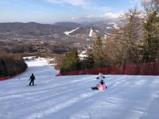 朝は硬いバーン|菅平パインビークスキー場のクチコミ画像
