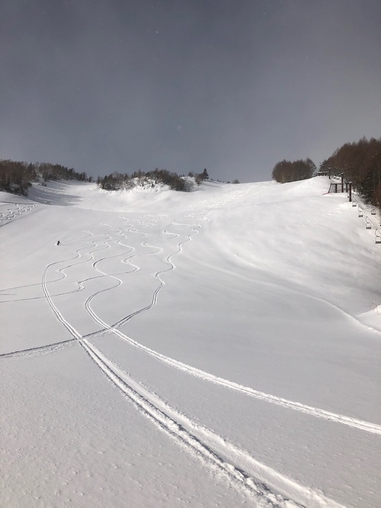 新雪のファーストトラック|Mt．乗鞍スノーリゾートのクチコミ画像