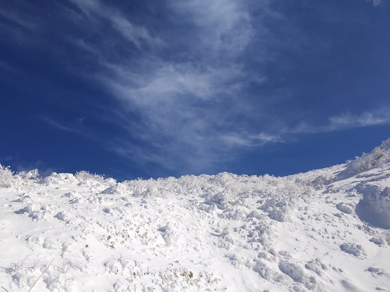 スキー日和！雪質良好！|箕輪スキー場のクチコミ画像2