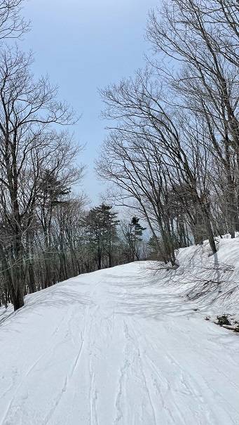 子連れでも安心|Mt.KOSHA よませ温泉スキー場 & X-JAM 高井富…のクチコミ画像