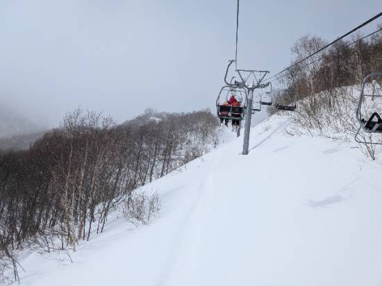 寒かったけど雪質最高！|オグナほたかスキー場のクチコミ画像