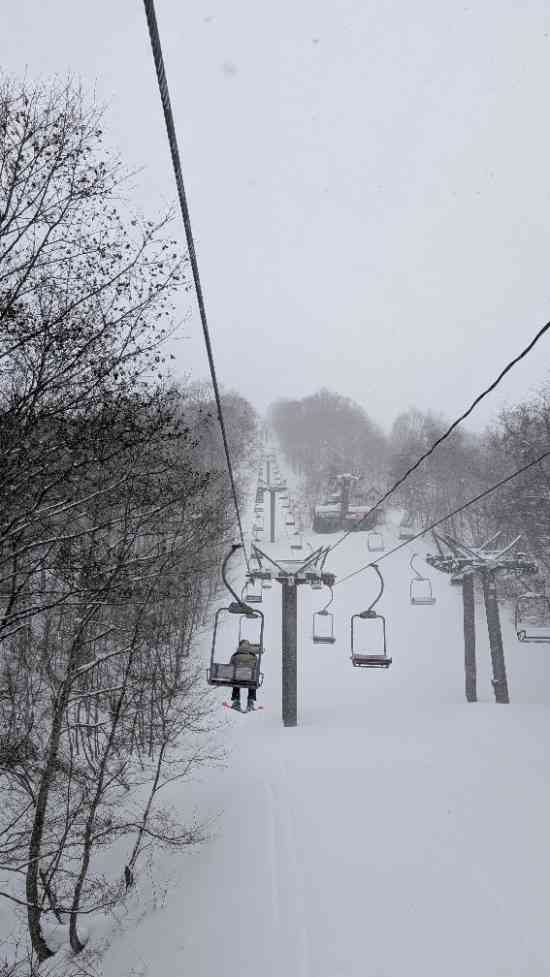 ワンダーランドかたしなレビューキャンペーン