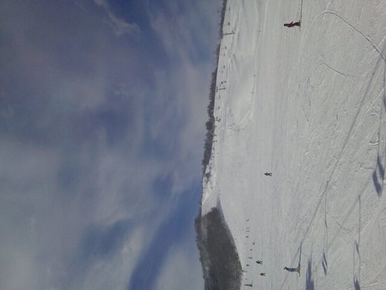 半日でも大満足|のクチコミ画像