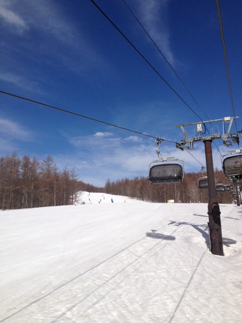 ぽかぽか陽気に誘われて|のクチコミ画像